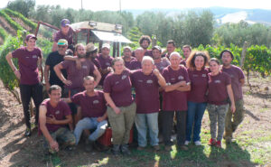 Antonio Camillo vendemmia 2019 foro di gruppo