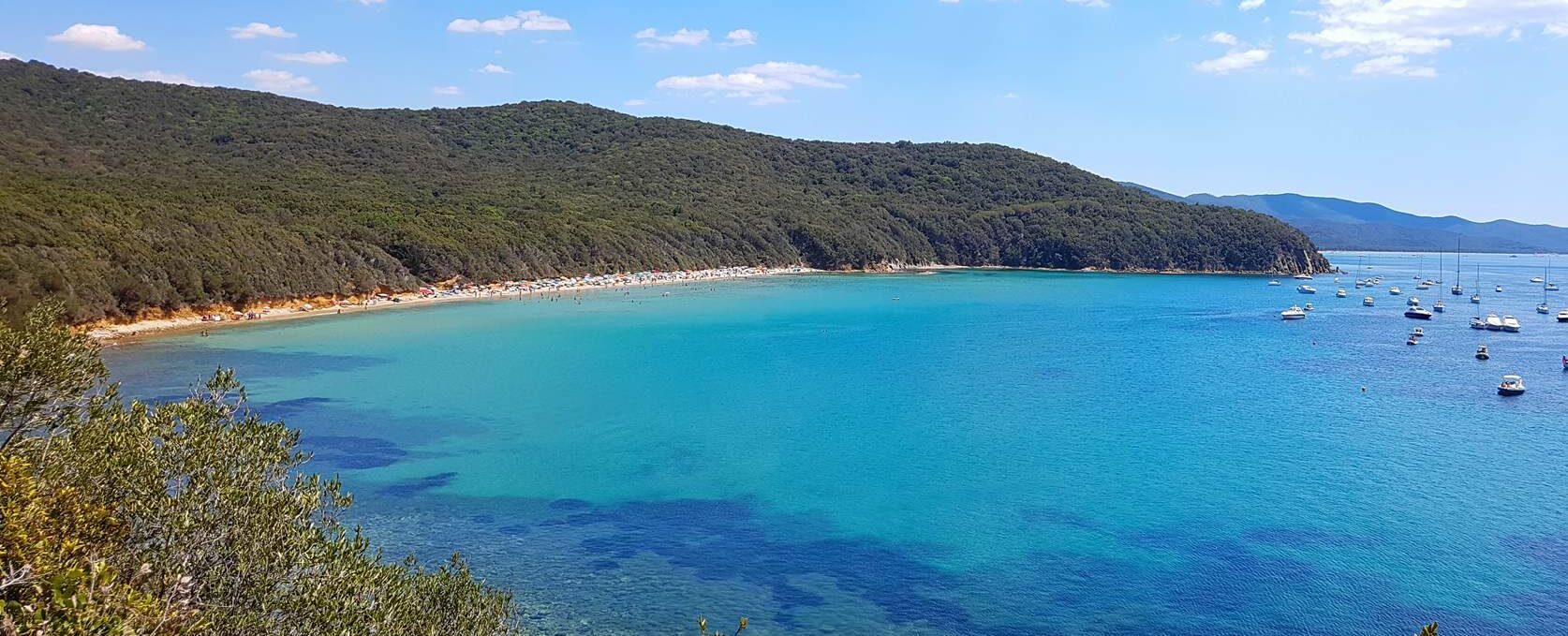 Cala Violino Maremma Toscana